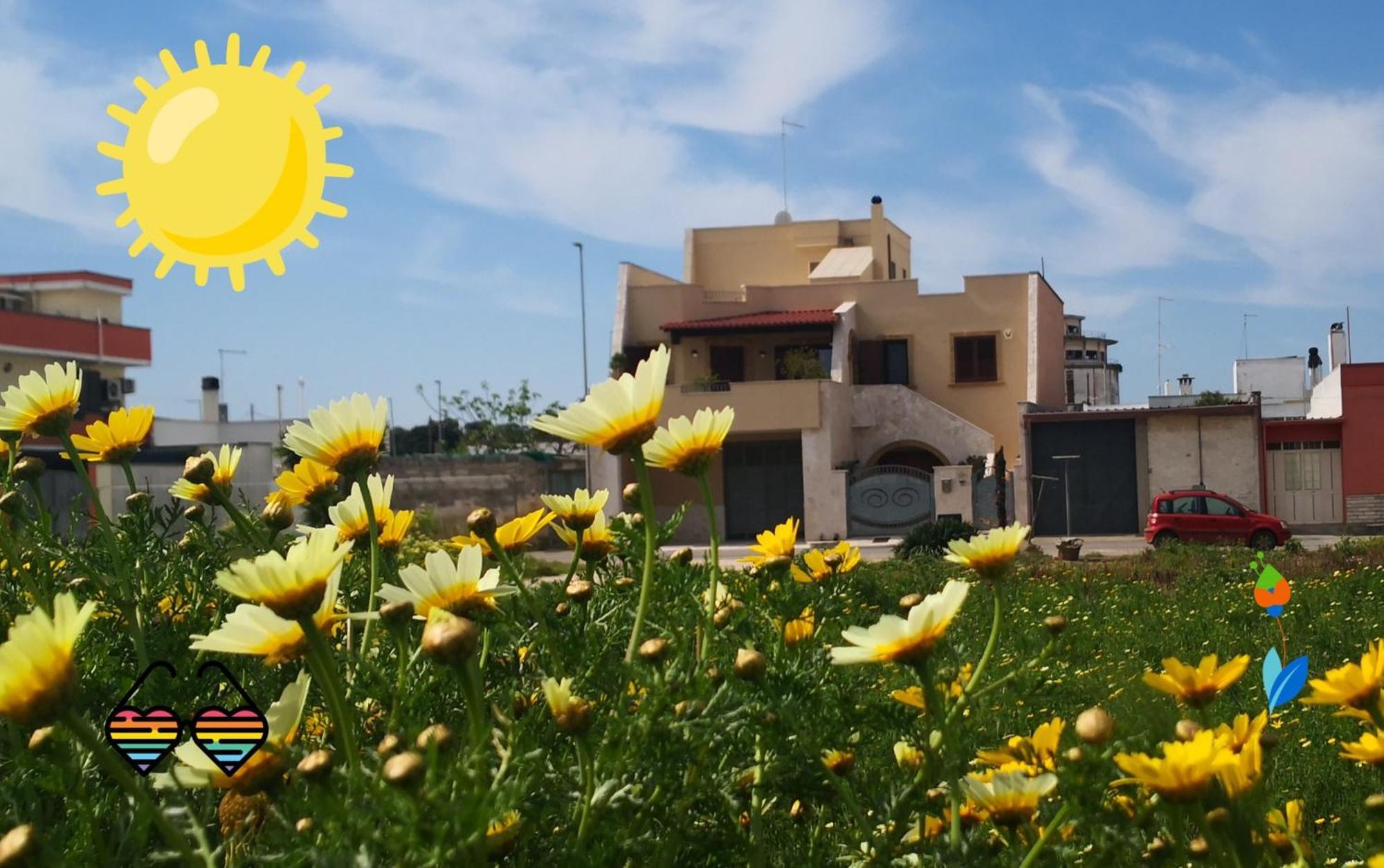 B&B La Lumaca Torchiarolo Dış mekan fotoğraf